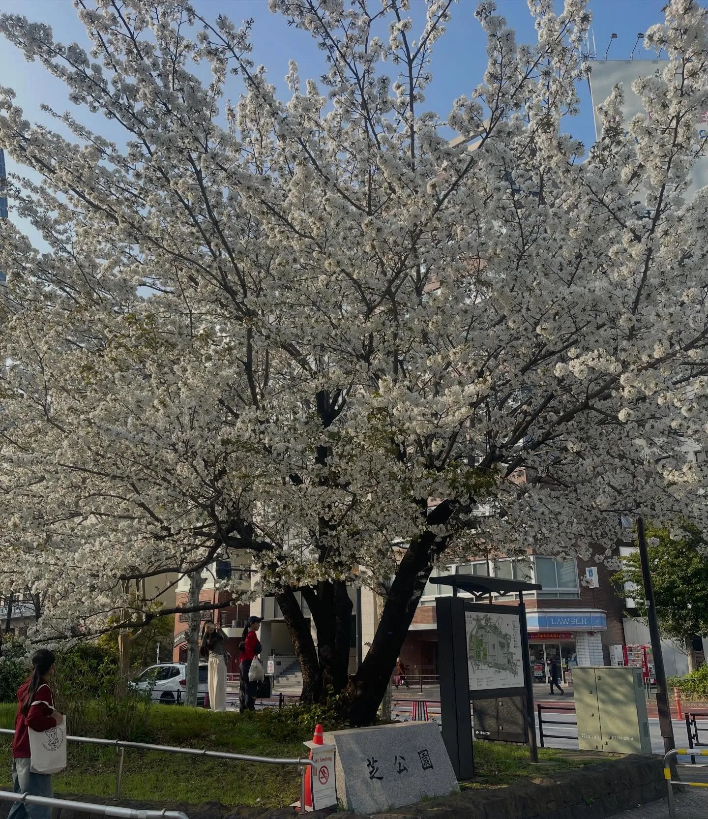 今日は東京の浜松町の科学新聞社へ勉強会に参加し、治療技術につ...