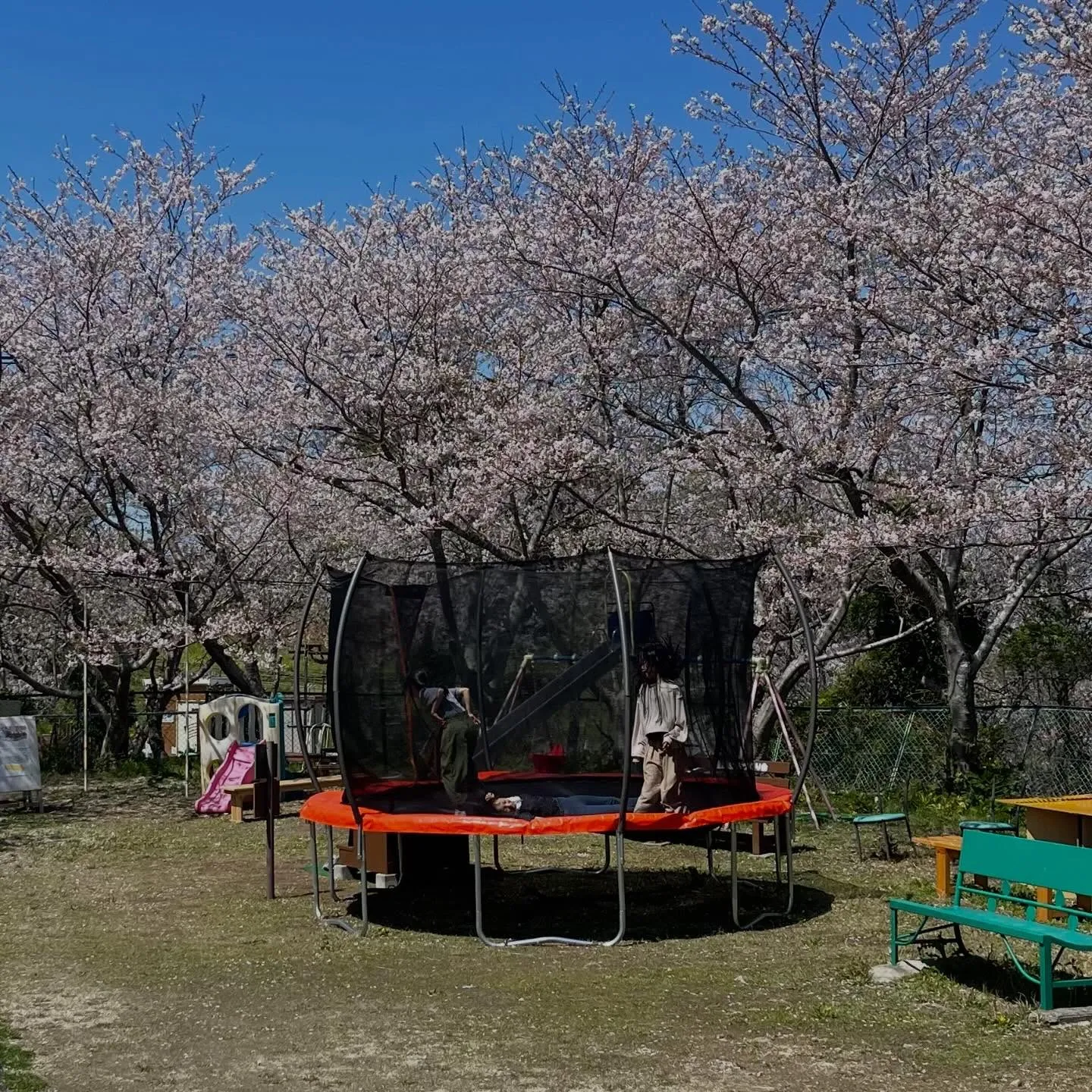 先日、家族で知多半島へ訪れ、いちご狩りを楽しんできました。