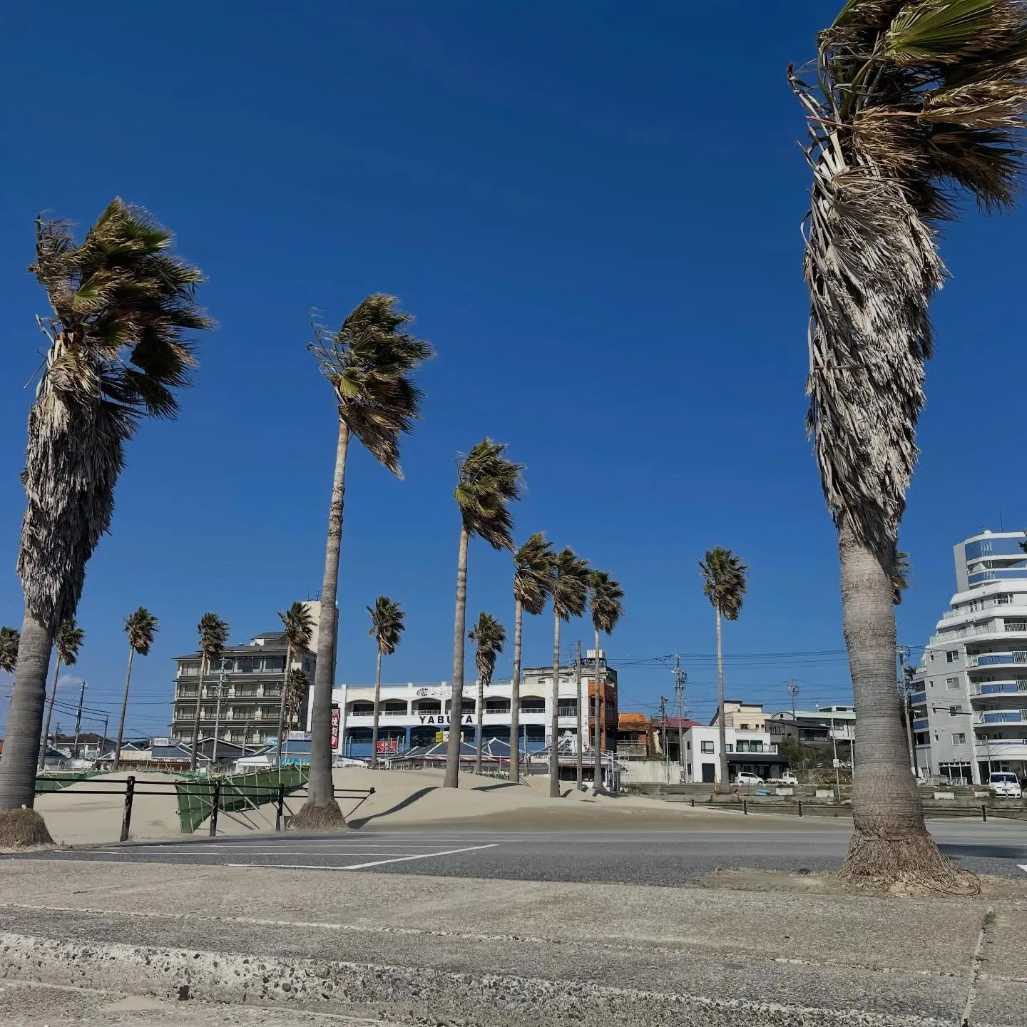 先日、家族で知多半島へ訪れ、いちご狩りを楽しんできました。