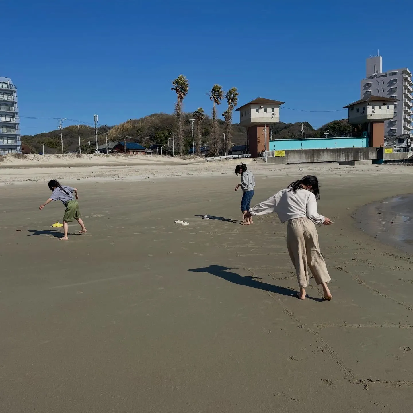 先日、家族で知多半島へ訪れ、いちご狩りを楽しんできました。