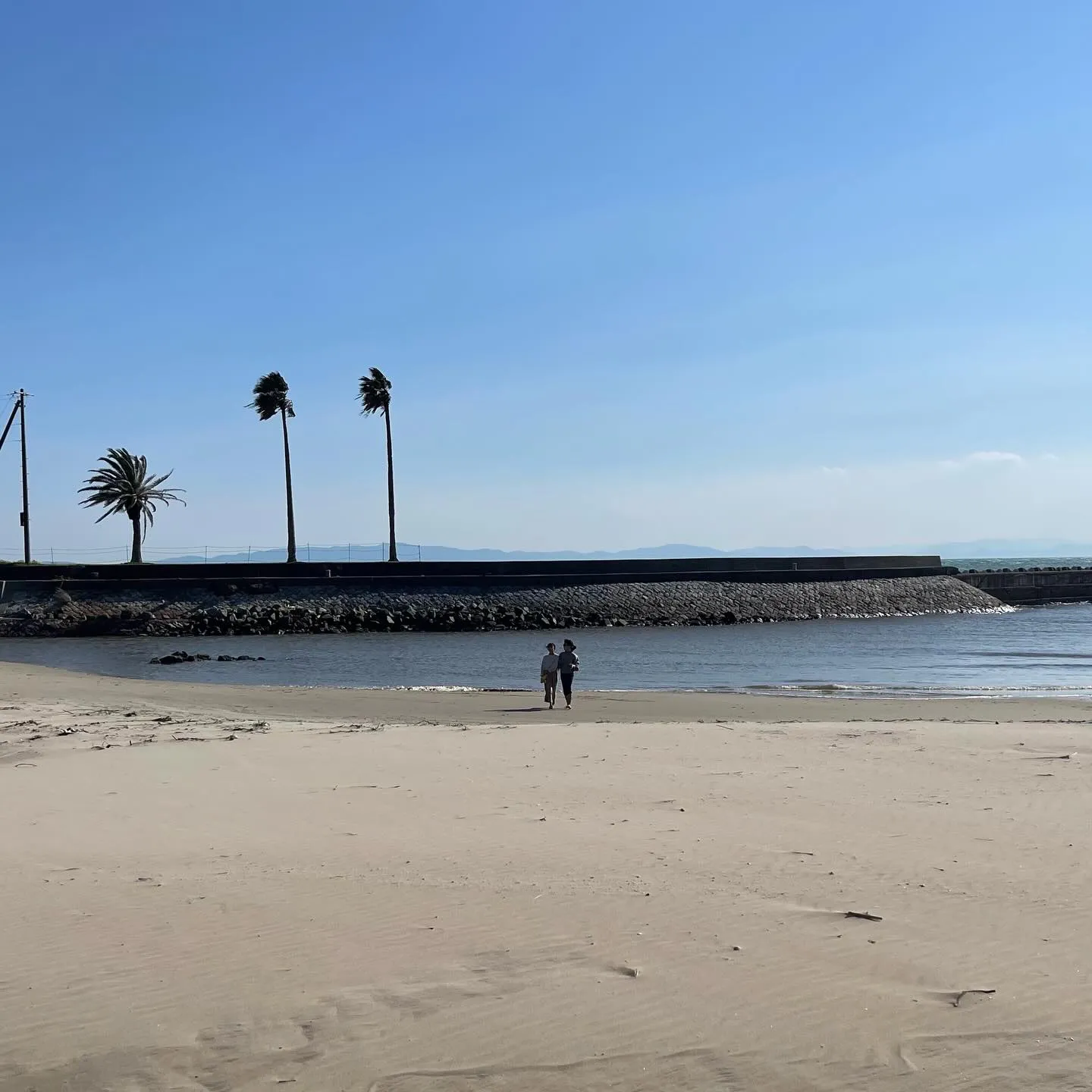 先日、家族で知多半島へ訪れ、いちご狩りを楽しんできました。